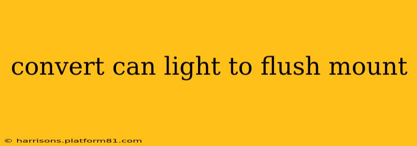 convert can light to flush mount
