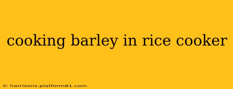 cooking barley in rice cooker