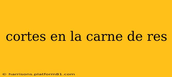 cortes en la carne de res