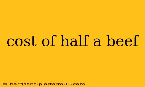 cost of half a beef