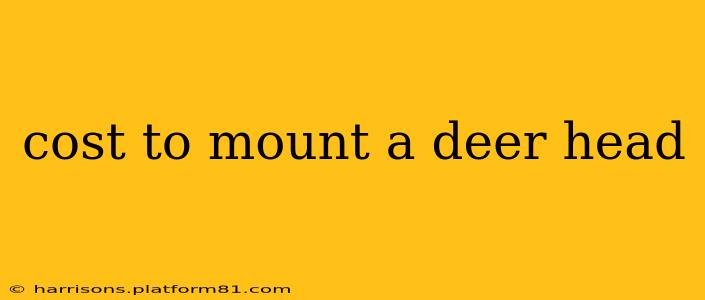 cost to mount a deer head