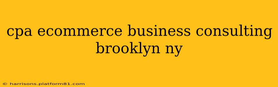 cpa ecommerce business consulting brooklyn ny