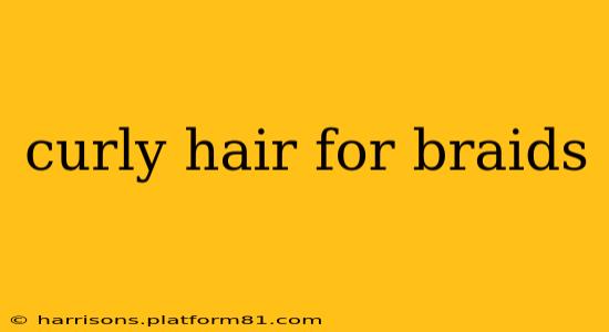 curly hair for braids