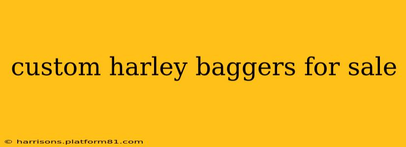 custom harley baggers for sale