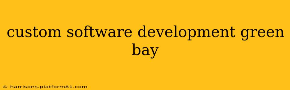 custom software development green bay