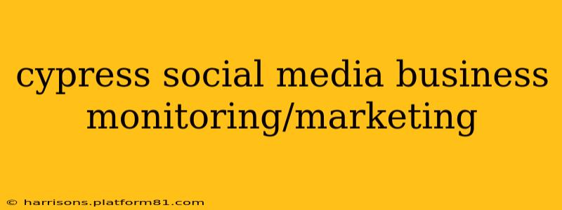 cypress social media business monitoring/marketing