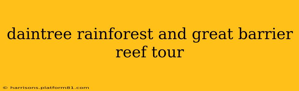 daintree rainforest and great barrier reef tour
