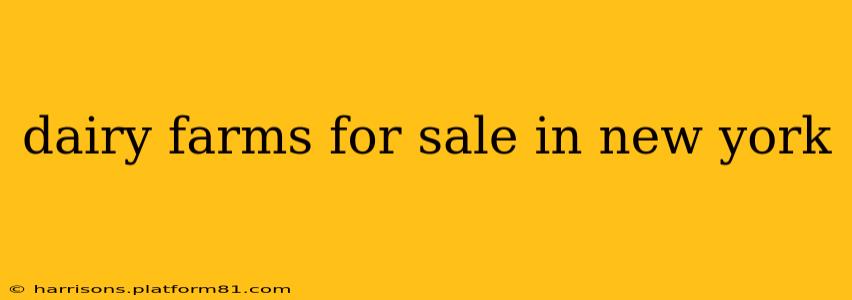 dairy farms for sale in new york
