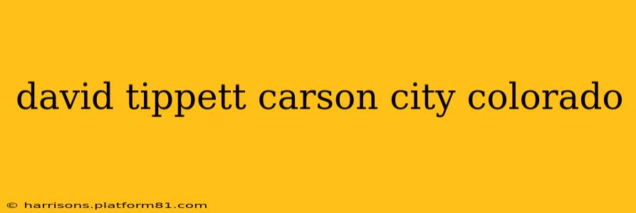 david tippett carson city colorado