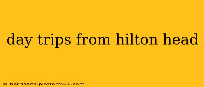 day trips from hilton head