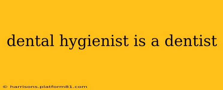 dental hygienist is a dentist