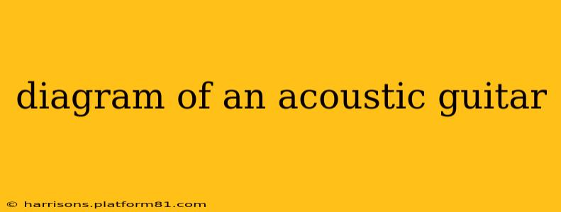 diagram of an acoustic guitar