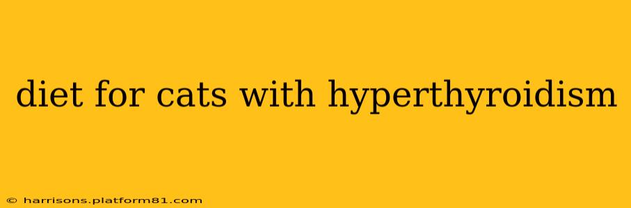 diet for cats with hyperthyroidism