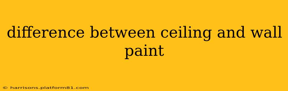 difference between ceiling and wall paint