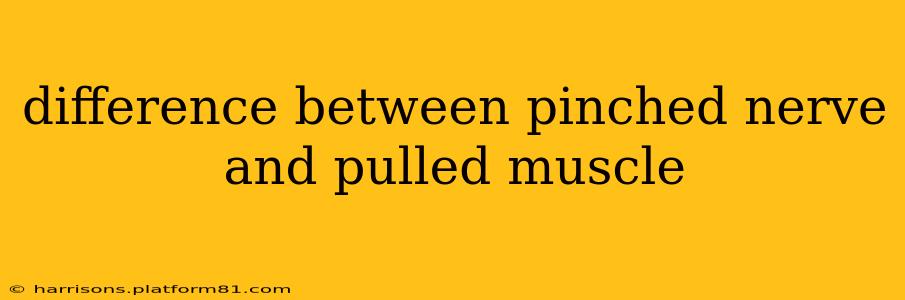 difference between pinched nerve and pulled muscle