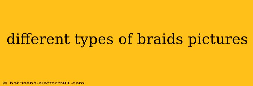 different types of braids pictures