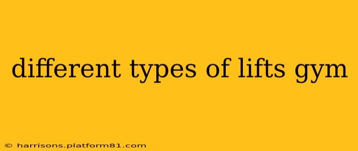 different types of lifts gym