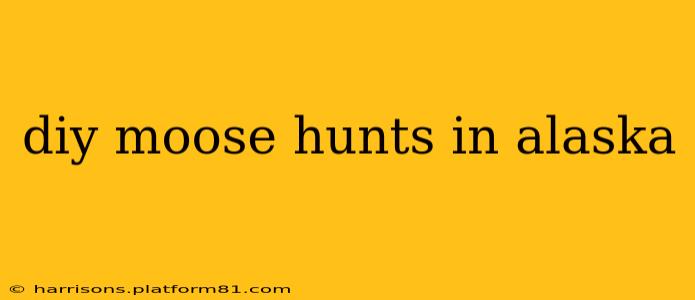 diy moose hunts in alaska