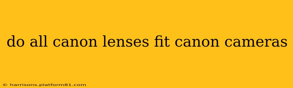 do all canon lenses fit canon cameras