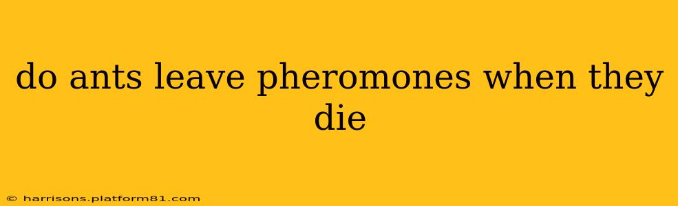 do ants leave pheromones when they die