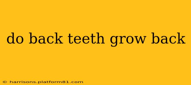 do back teeth grow back