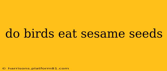 do birds eat sesame seeds