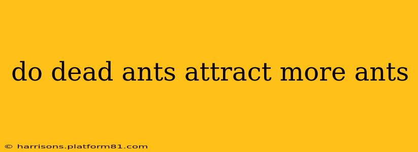 do dead ants attract more ants