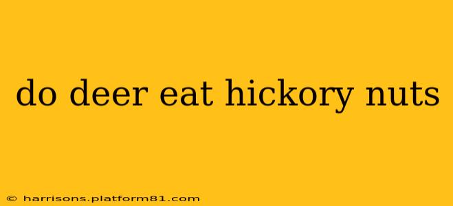 do deer eat hickory nuts
