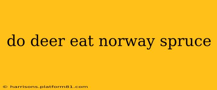 do deer eat norway spruce