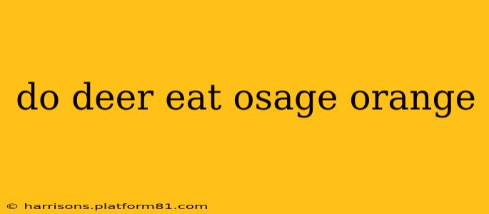 do deer eat osage orange