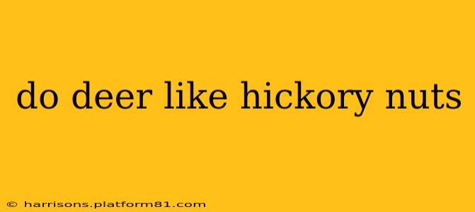 do deer like hickory nuts