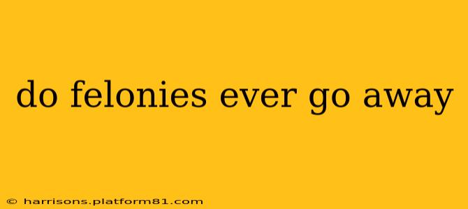 do felonies ever go away
