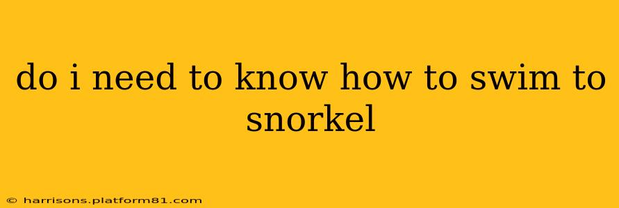 do i need to know how to swim to snorkel