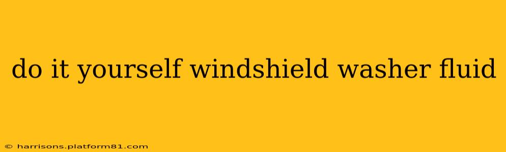 do it yourself windshield washer fluid