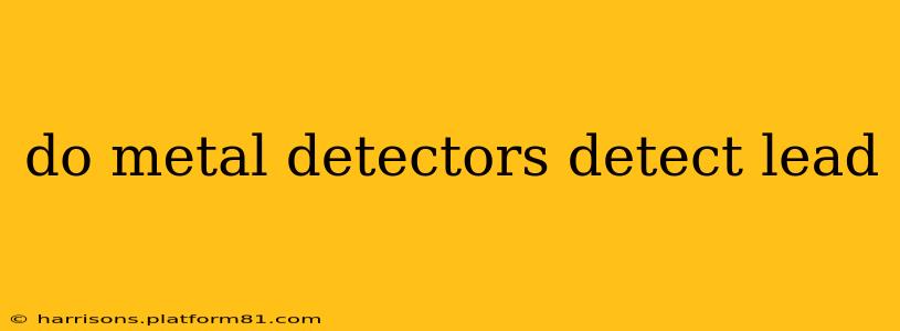 do metal detectors detect lead
