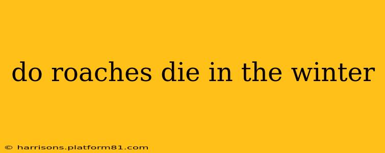do roaches die in the winter