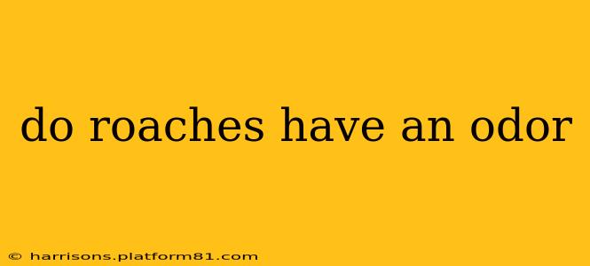 do roaches have an odor