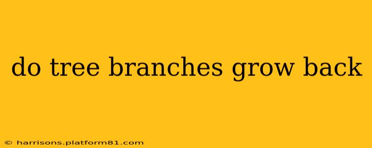 do tree branches grow back