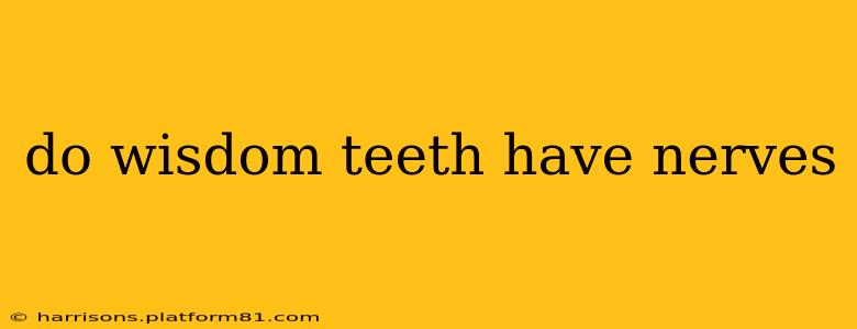 do wisdom teeth have nerves
