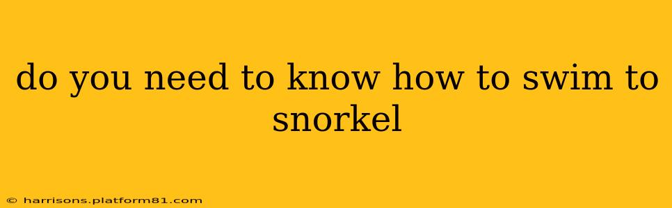 do you need to know how to swim to snorkel