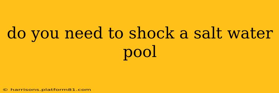 do you need to shock a salt water pool