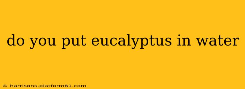 do you put eucalyptus in water
