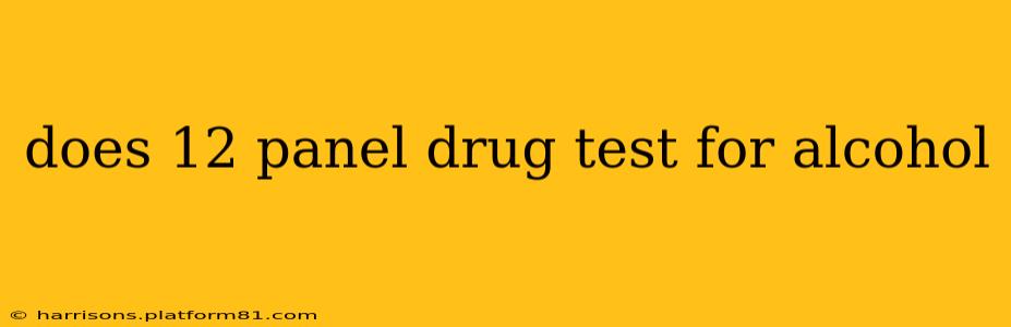 does 12 panel drug test for alcohol