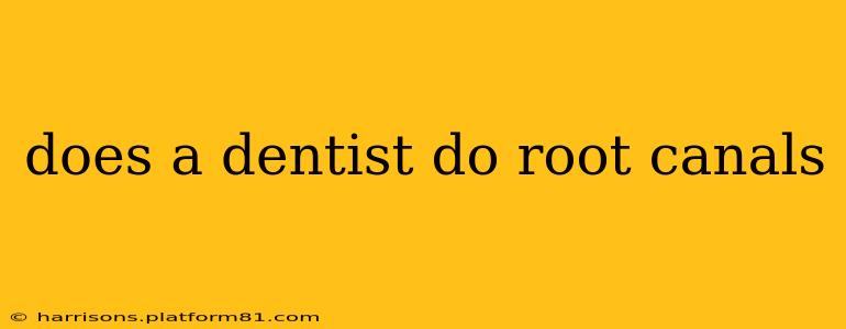 does a dentist do root canals
