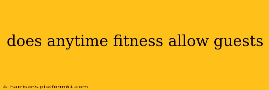 does anytime fitness allow guests