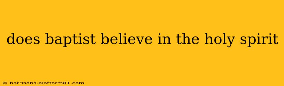 does baptist believe in the holy spirit