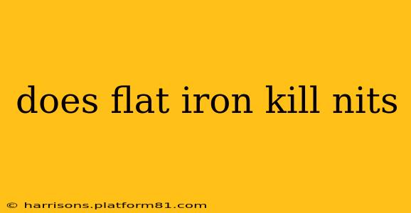 does flat iron kill nits