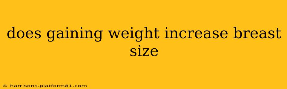 does gaining weight increase breast size