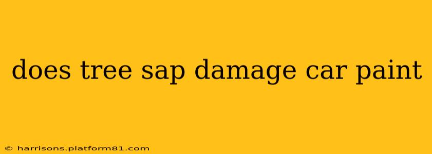 does tree sap damage car paint