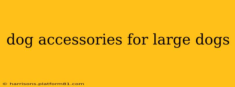 dog accessories for large dogs